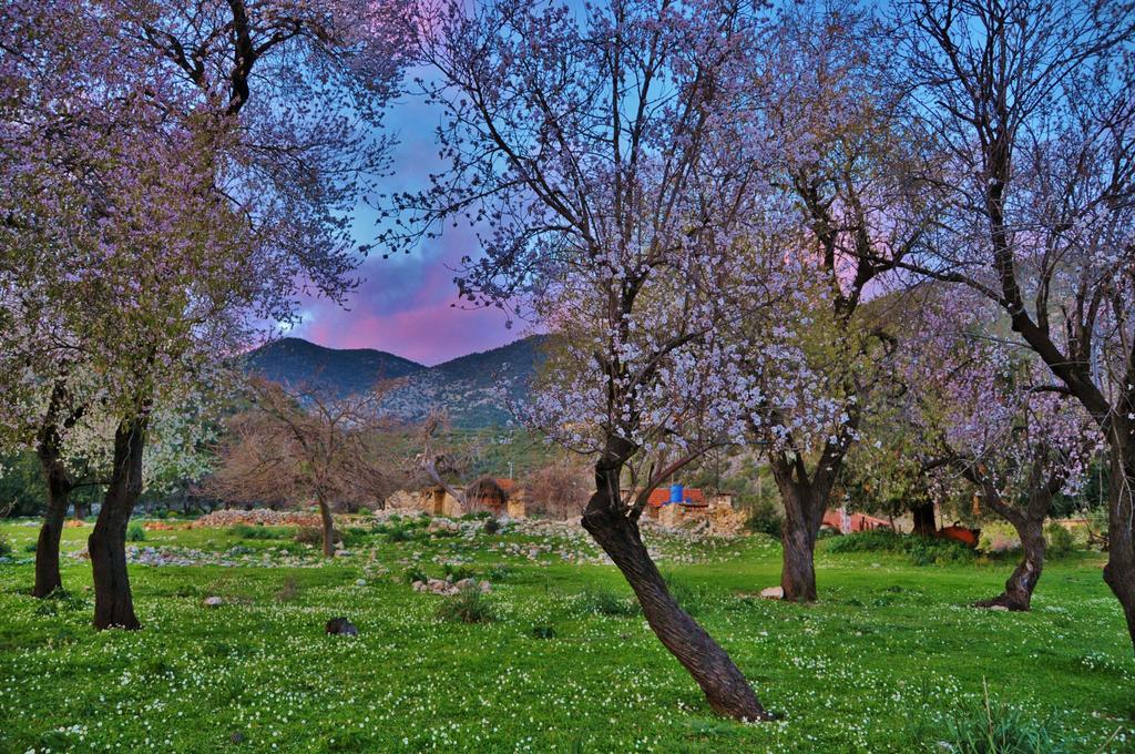 Hostal Beymelek Tas Evler Demre Exterior foto