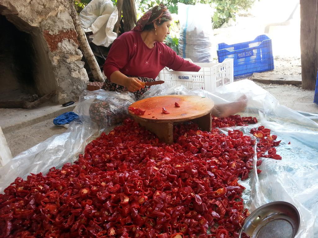 Hostal Beymelek Tas Evler Demre Exterior foto